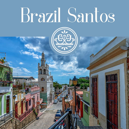 Brazil Santos Coffee (Medium Roast)