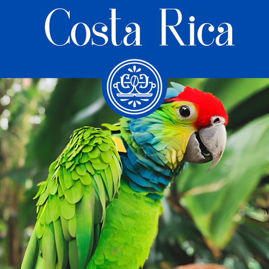 Costa Rica Coffee (Medium-Light Roast)