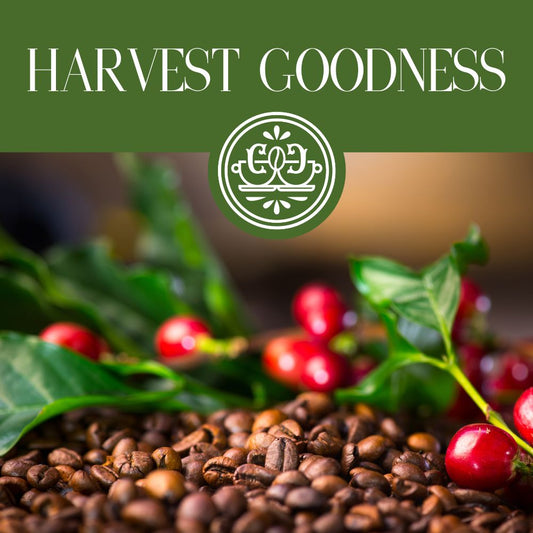 Harvest Goodness Coffee Blend (Breakfast Blend) (Medium Roast)