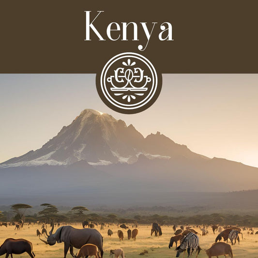 Kenya Coffee (Medium-Light Roast)