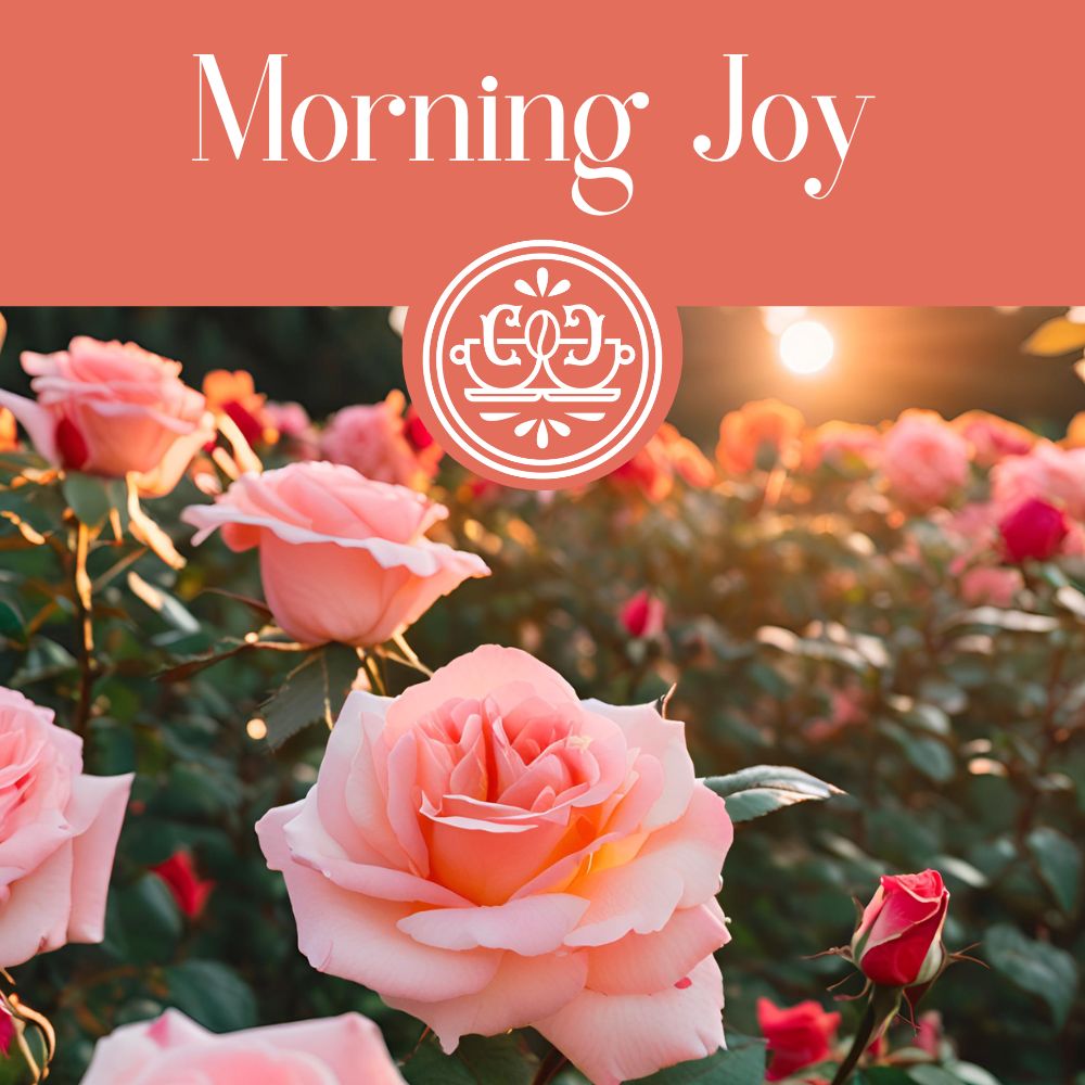 Morning Joy Coffee (6 Bean Expresso Blend) (Dark Roast)