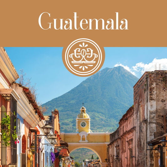 Fairtrade Guatemala (Medium Roast)